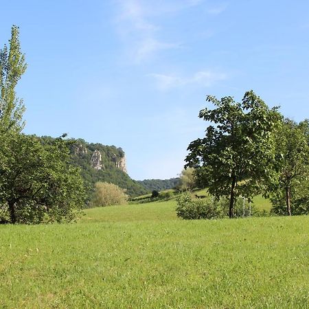 Domaine De Bellevue Gite Du Mont Poupet Marnoz Kültér fotó