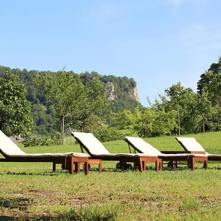 Domaine De Bellevue Gite Du Mont Poupet Marnoz Kültér fotó
