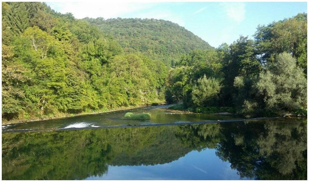 Domaine De Bellevue Gite Du Mont Poupet Marnoz Kültér fotó