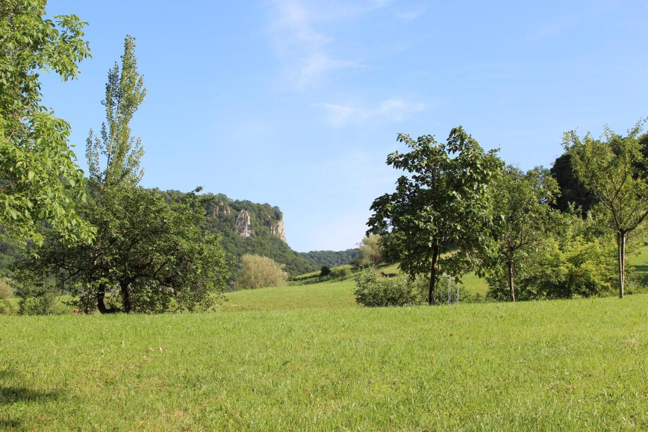 Domaine De Bellevue Gite Du Mont Poupet Marnoz Kültér fotó