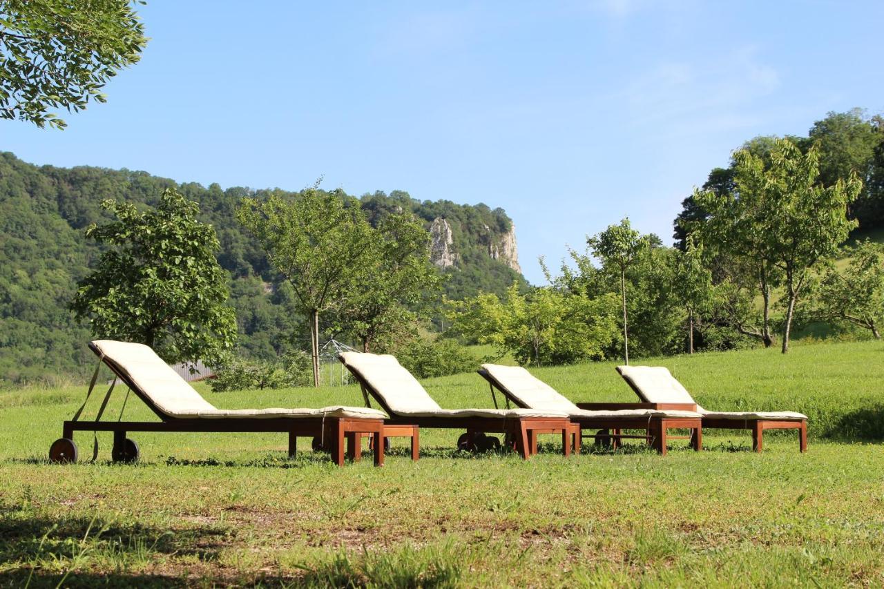 Domaine De Bellevue Gite Du Mont Poupet Marnoz Kültér fotó